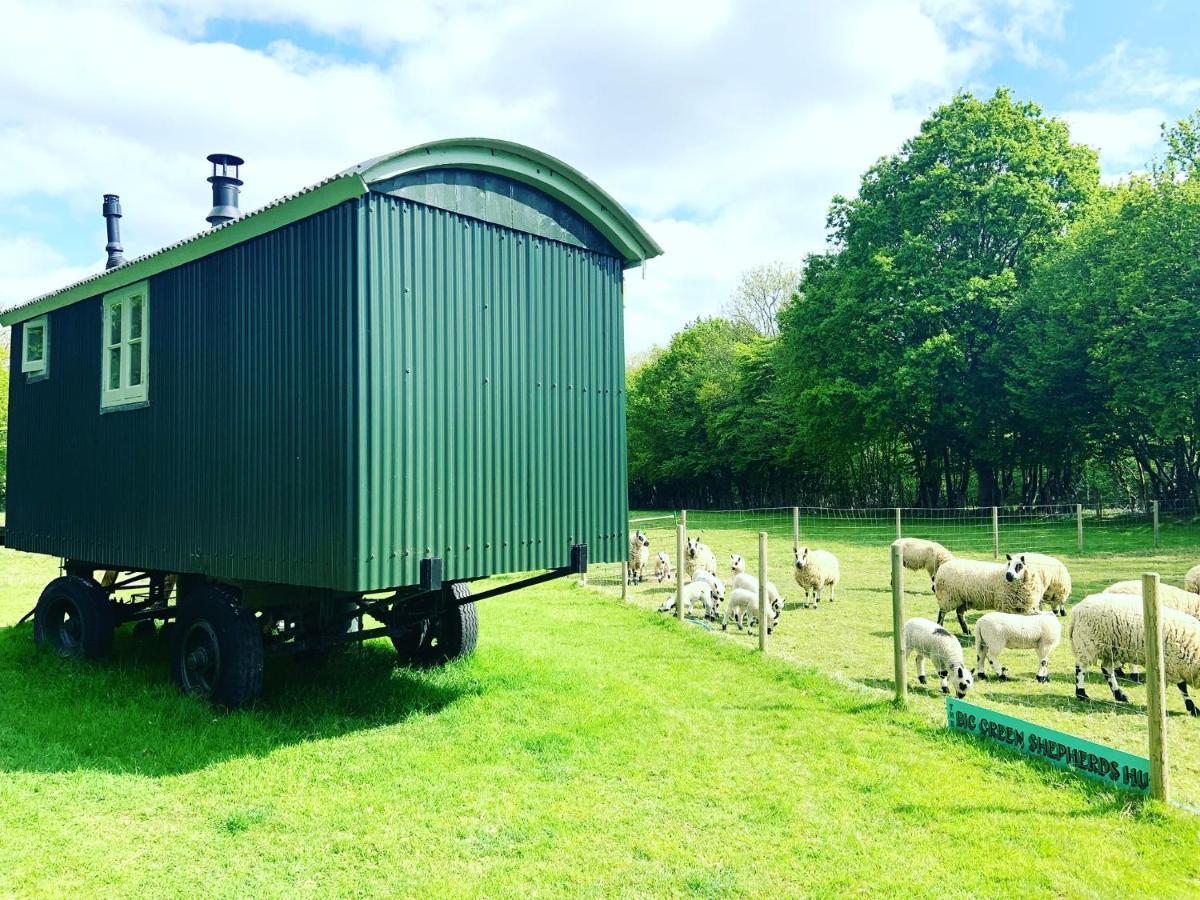 The Big Green Shepherds Hut Charlwood Kültér fotó