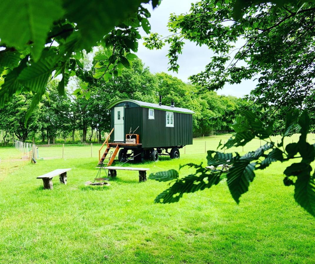 The Big Green Shepherds Hut Charlwood Kültér fotó